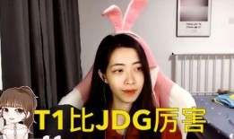 娱乐吃瓜人物解说视频,吃瓜人物解说视频背后的故事